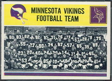 111 Minnesota Vikings Team Card